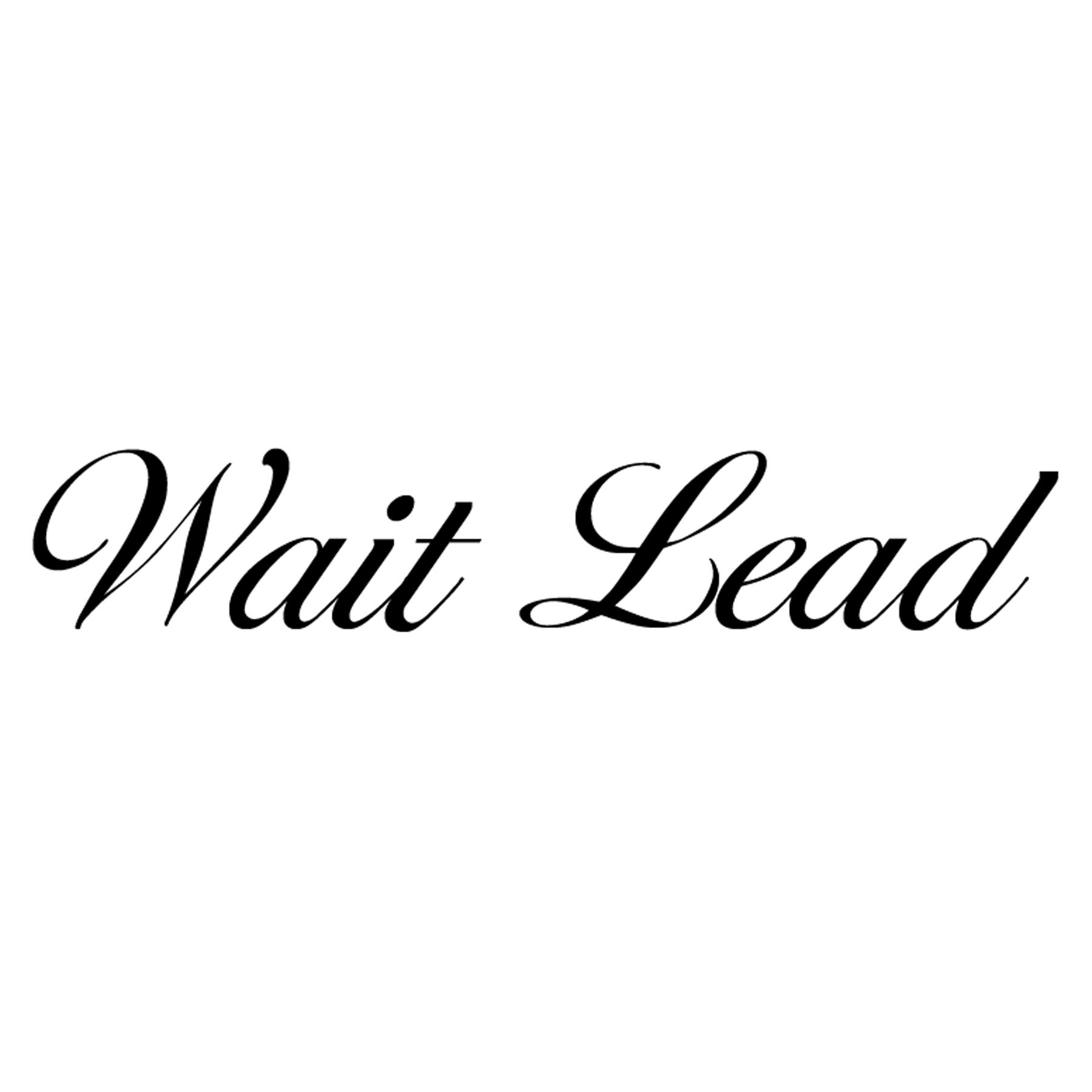 WAIT LEAD